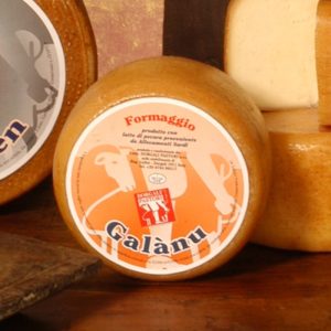Formaggio Ovino Galanu 1,5kg circa