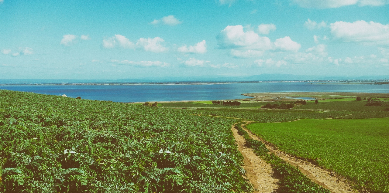 Sa Marigosa - banner